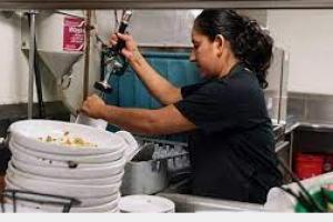 Empleos Sin datos  EMPLEOS